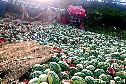 双牌二村吃瓜信息