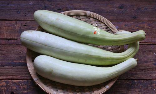 正常吃瓜一天吃几块,揭秘一天吃几块瓜的养生之道