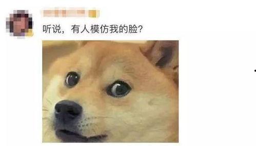 狗头小剧场吃瓜