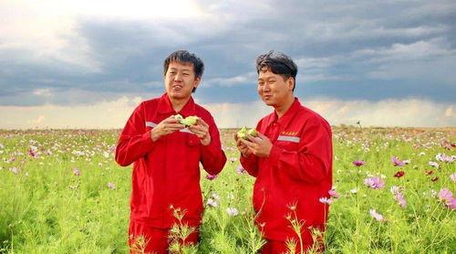 迎风吃瓜,品味生活百态