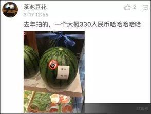 文章吃瓜视频,揭秘吃瓜视频背后的娱乐现象