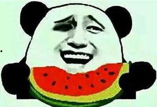 吃瓜下场